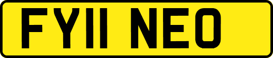 FY11NEO