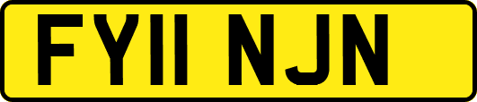 FY11NJN