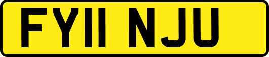 FY11NJU