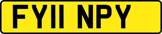 FY11NPY