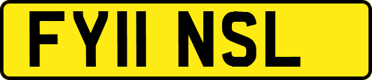 FY11NSL