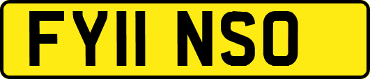 FY11NSO