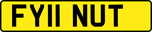 FY11NUT