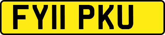 FY11PKU