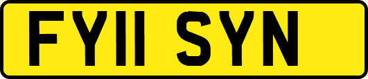 FY11SYN