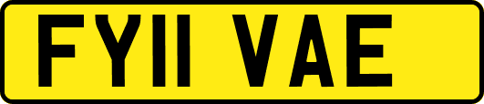 FY11VAE