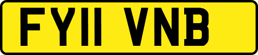 FY11VNB