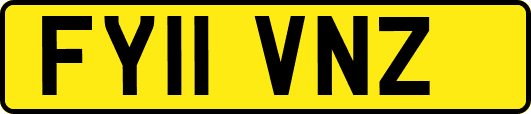 FY11VNZ