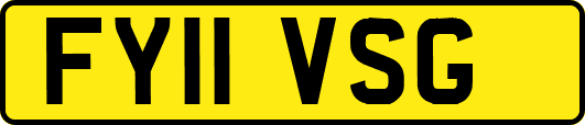 FY11VSG