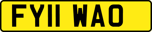 FY11WAO