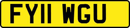 FY11WGU