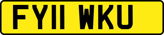 FY11WKU