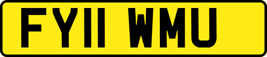 FY11WMU