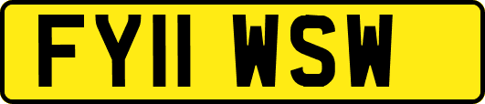 FY11WSW