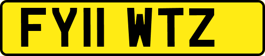 FY11WTZ