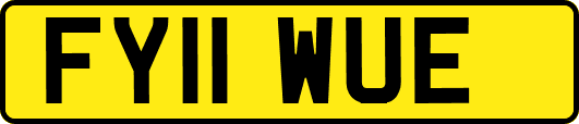 FY11WUE