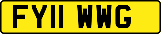 FY11WWG