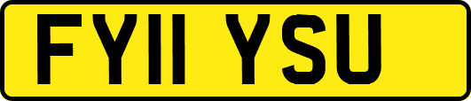 FY11YSU