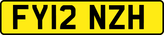 FY12NZH