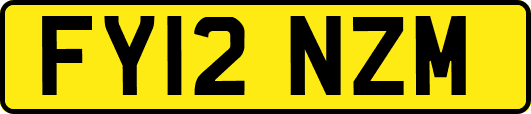 FY12NZM