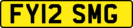 FY12SMG
