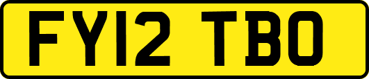 FY12TBO