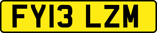 FY13LZM