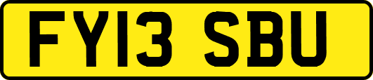 FY13SBU