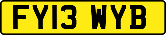 FY13WYB