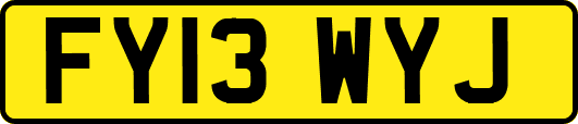 FY13WYJ