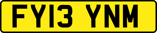 FY13YNM
