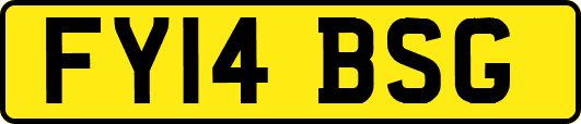 FY14BSG