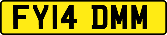 FY14DMM