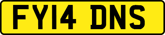 FY14DNS