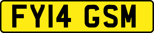 FY14GSM