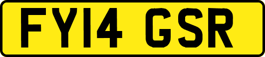 FY14GSR