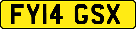 FY14GSX
