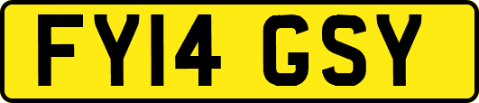 FY14GSY