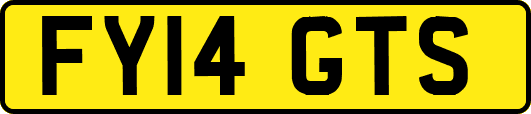 FY14GTS