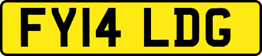 FY14LDG