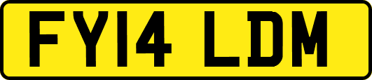 FY14LDM