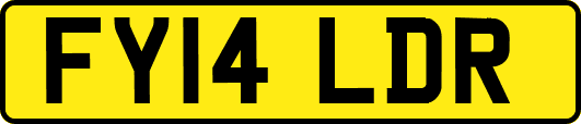 FY14LDR