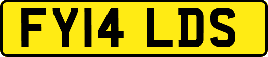 FY14LDS