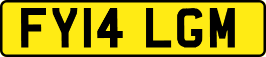 FY14LGM
