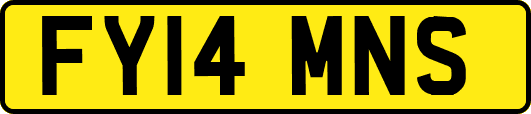 FY14MNS