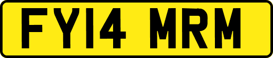 FY14MRM