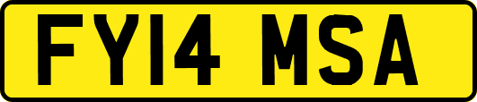 FY14MSA