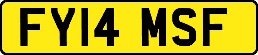 FY14MSF