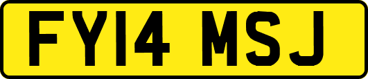 FY14MSJ