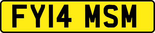 FY14MSM